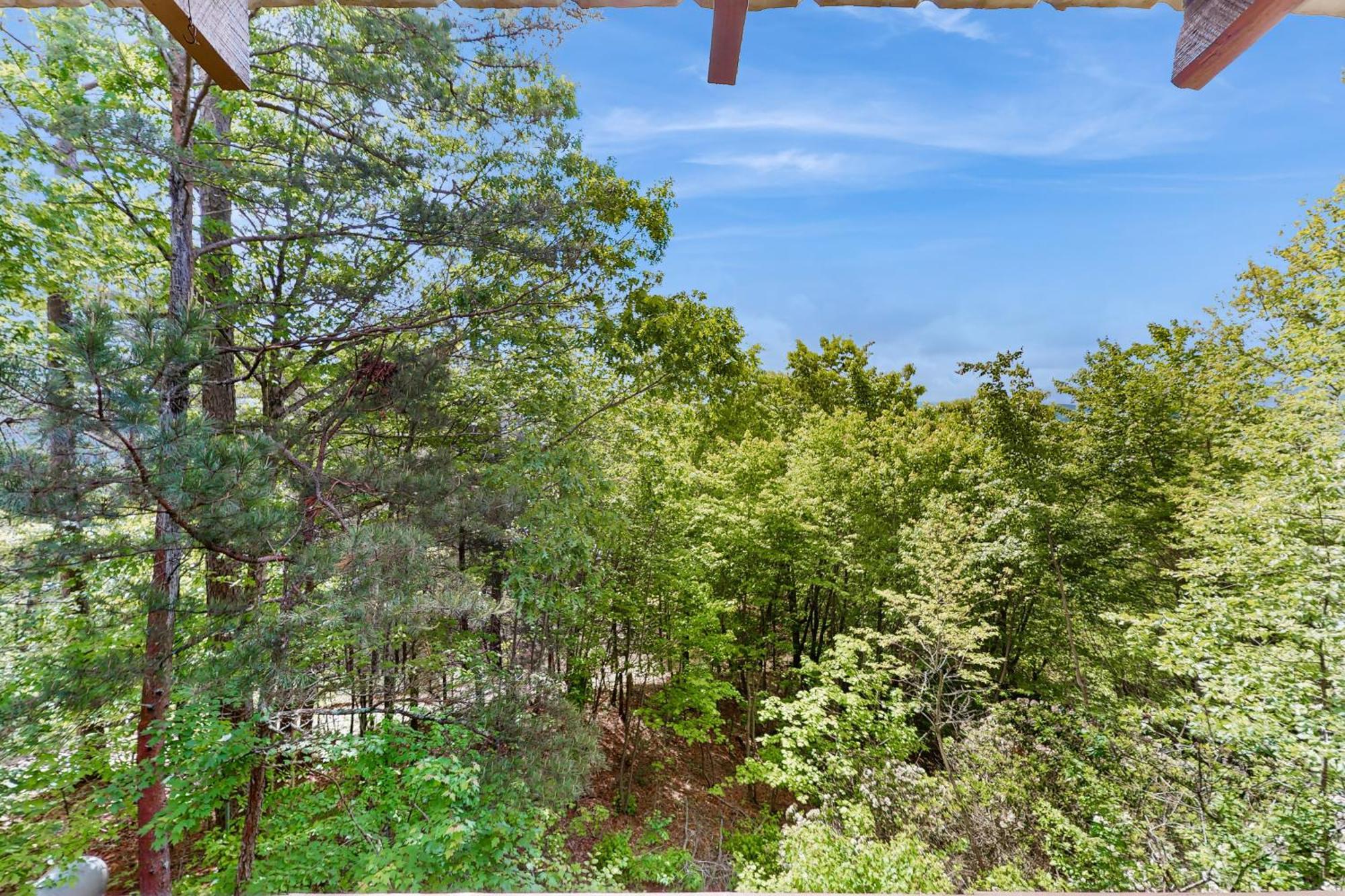 Vista Villa Blue Ridge Bagian luar foto